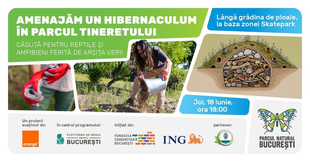Amenajăm un hibernaculum în Parcul Tineretului – Special pentru familie +0 ani