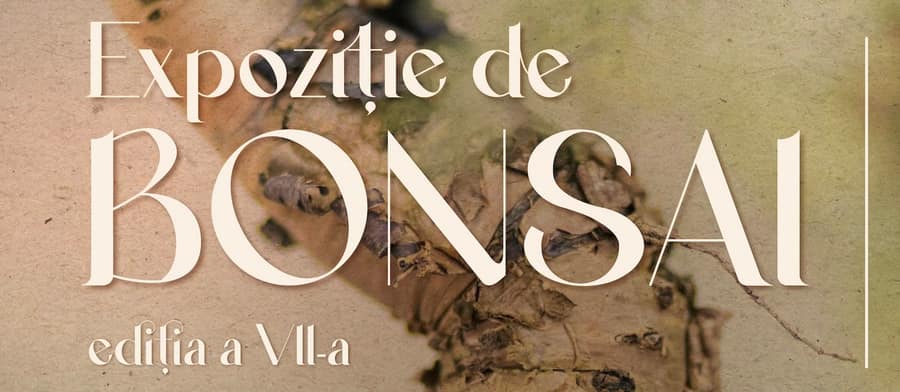 Expoziție de bonsai – Expoziție pentru familie