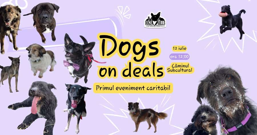 Dogs on Deals – Primul eveniment caritabil